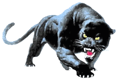 BlackPanther